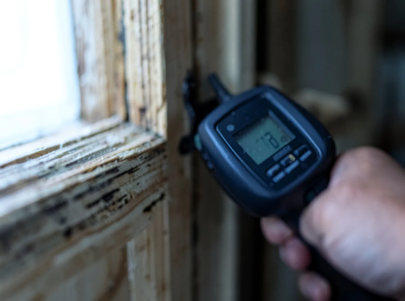 Ceiling Water Damage Repair in Alborn, MN